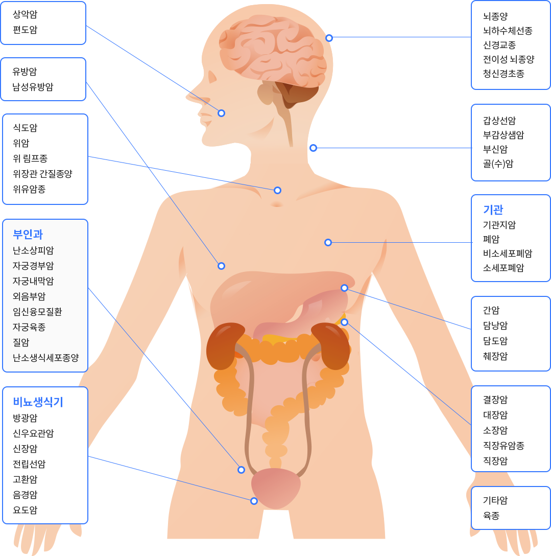 신체부위별 병명